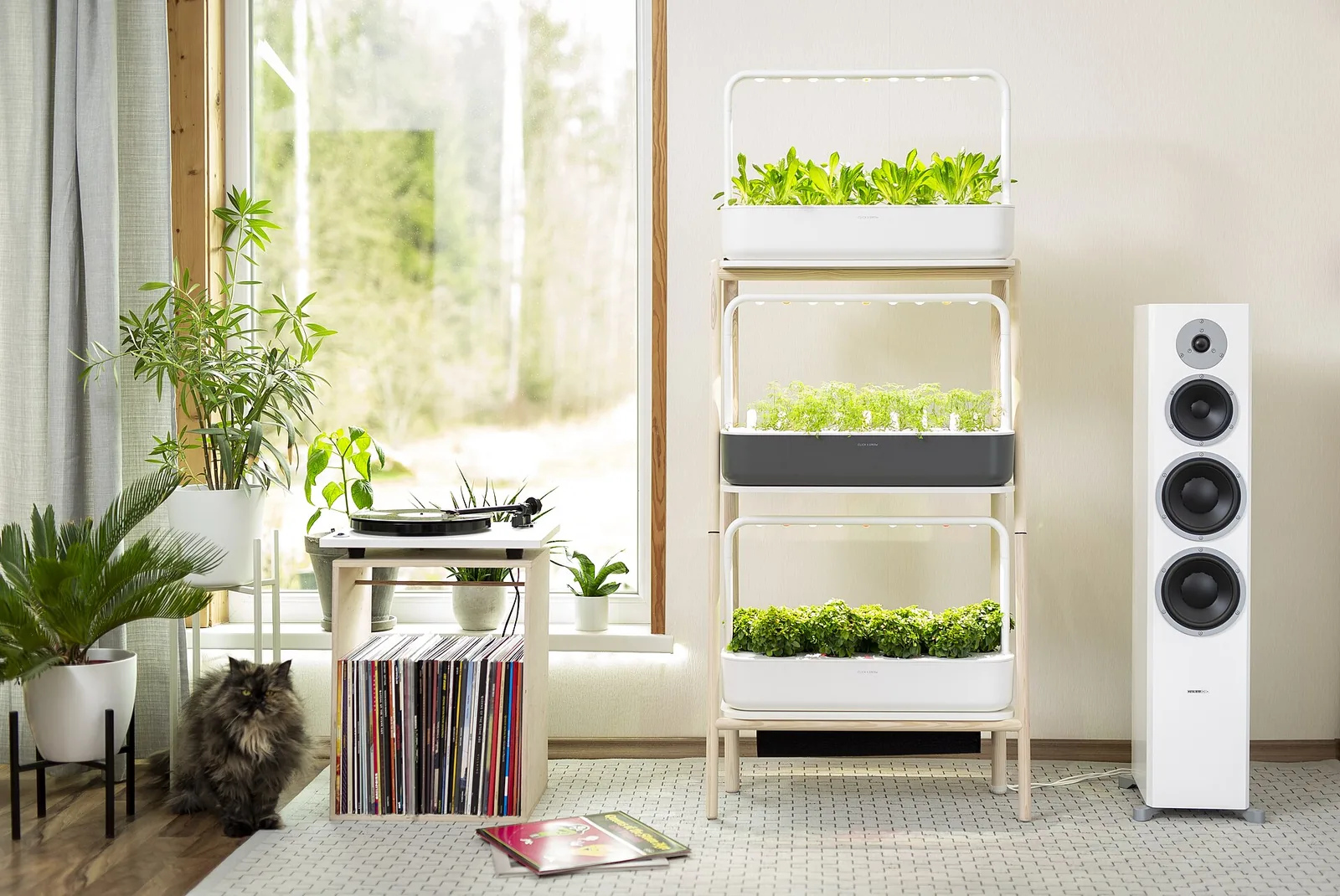 Potager d'intérieur connecté posé sur une étagère, plants d'aromatiques sous la lampe