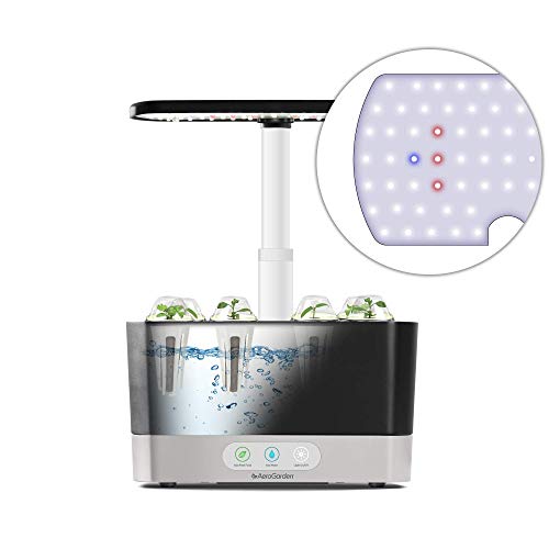 AeroGarden Harvest: Cultivez votre propre salade verte avec ce kit de dosettes (6 dosettes) – Image 2