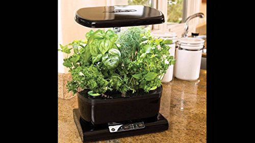 AeroGarden Harvest Black avec LED: Kit Herbes Aromatiques - Cultivez vos plantes facilement – Image 4