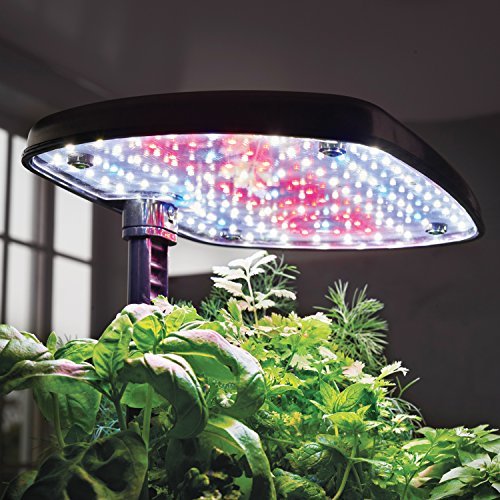 AeroGarden Harvest Black avec LED: Kit Herbes Aromatiques - Cultivez vos plantes facilement – Image 3