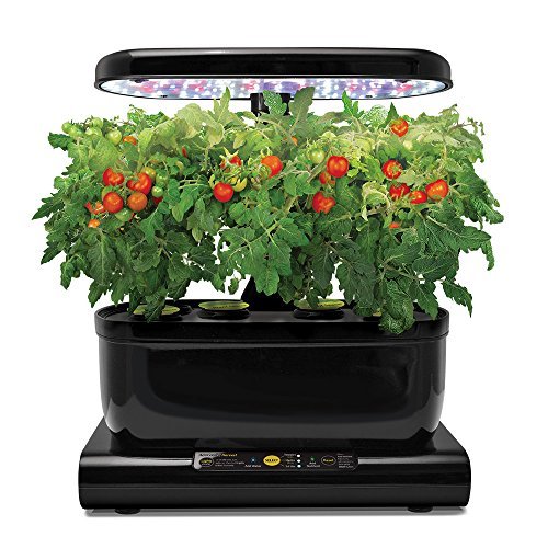 AeroGarden Harvest Black avec LED: Kit Herbes Aromatiques - Cultivez vos plantes facilement