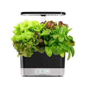 AeroGarden Harvest: Cultivez votre propre salade verte avec ce kit de dosettes (6 dosettes)