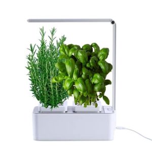 Potager Hydroponique d'Intérieur Clizia Smart Garden - Jardinière Intelligente pour Herbes Aromatiques - Lumière LED et Minuterie Automatique Incluses